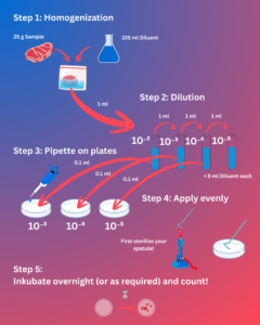 Surface Spatulata Methode Guide Agar Plates