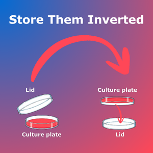 correct storing of agar plates to avoid moisture issues